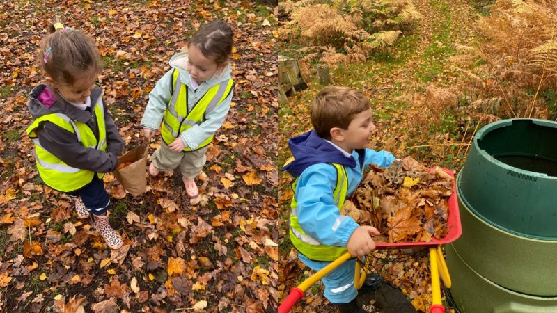 Owls at Forest School Nov 10
