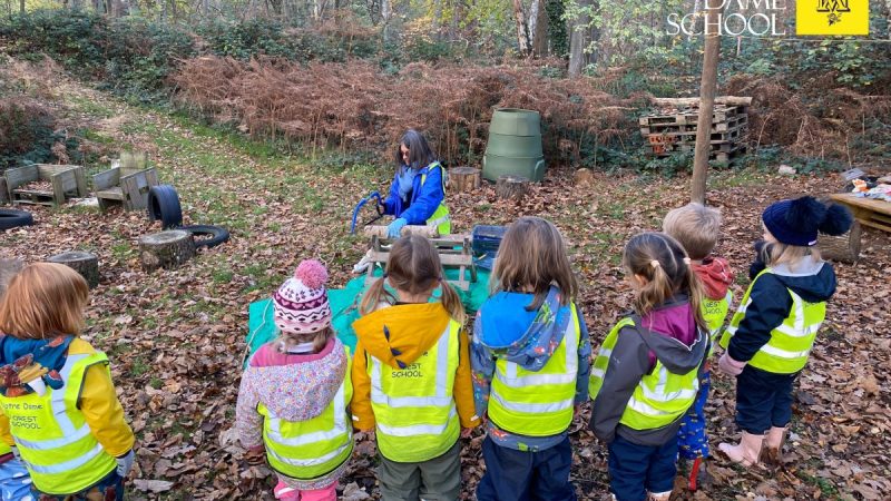 Owls at Forest School Nov 17
