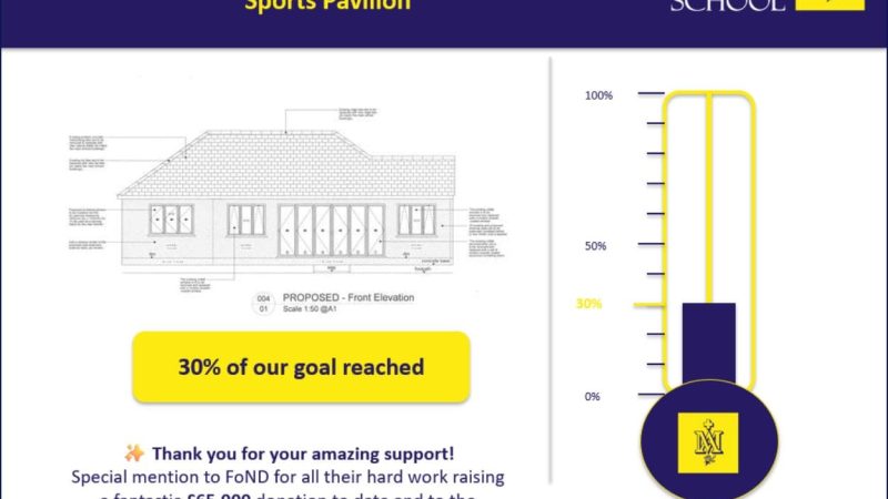 Pavilion Fundraiser Update June 12 (1)