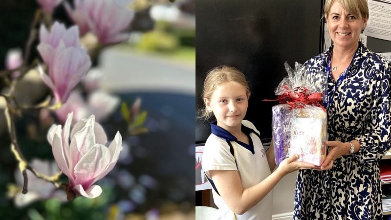 Prep Art -Amie B - Winner of Prep Photo Competition 2025