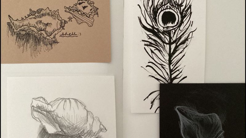 Prep Art - Year 5 Natural Forms