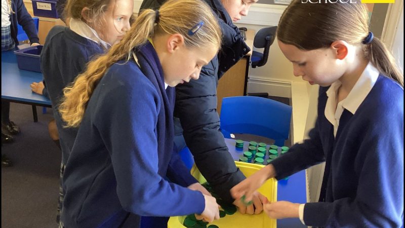 Prep Maths Ambassadors