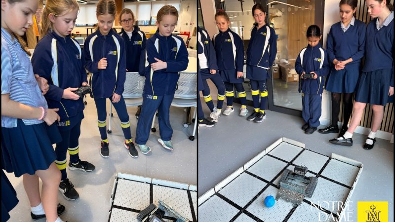 Prep Science Ambassadors in Action at Innovation Space (3)