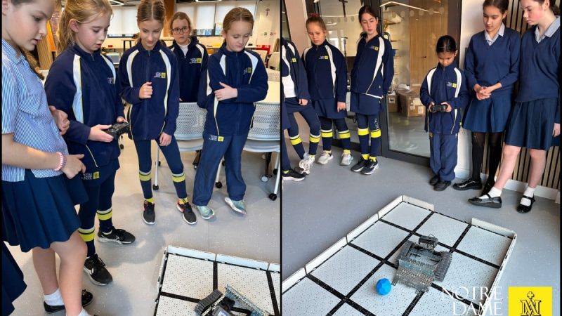 Prep Science Ambassadors in Action at Innovation Space (3)