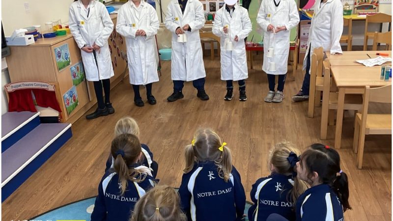 Prep Science Ambassadors with Reception