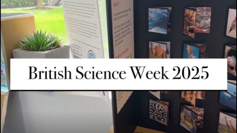 Prep Science Corner - British Science Week 2025