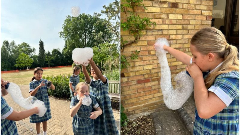 Prep Science - Y5 Bubbles