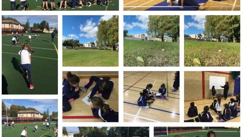 Prep Sports Collage Oct 9th