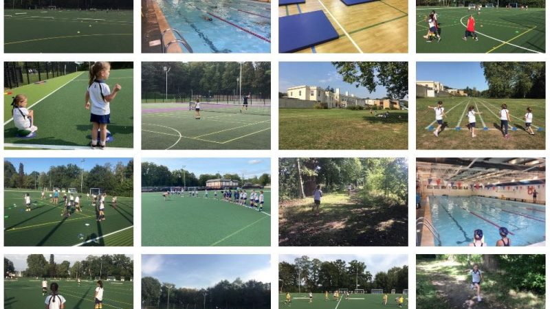 Prep Sports Collage Sep 18th