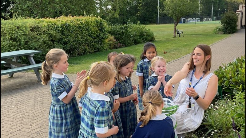 Reception Butterflies Hatching