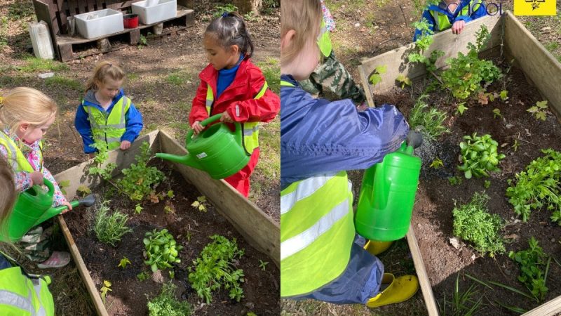 Reception Forest School April 21