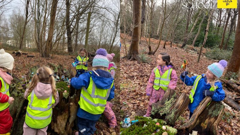 Reception Forest School Jan 27