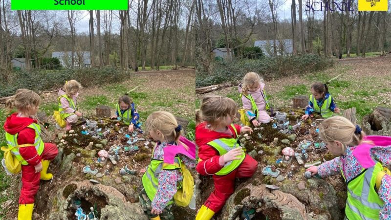 Reception Forest School March 24