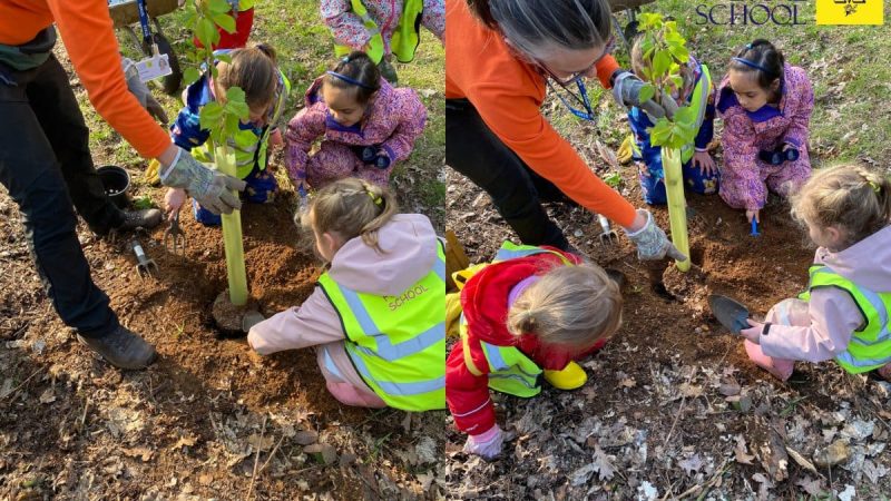 Reception Forest School March 3