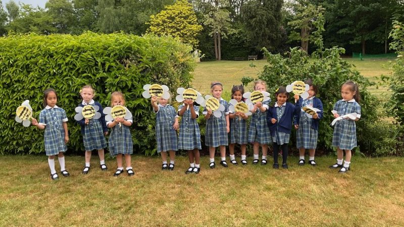Reception World Bee Day
