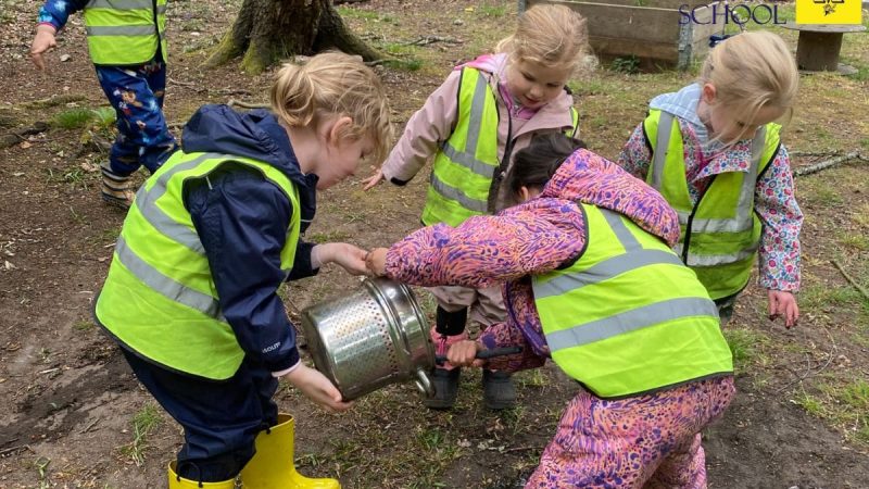 Reception at Forest School