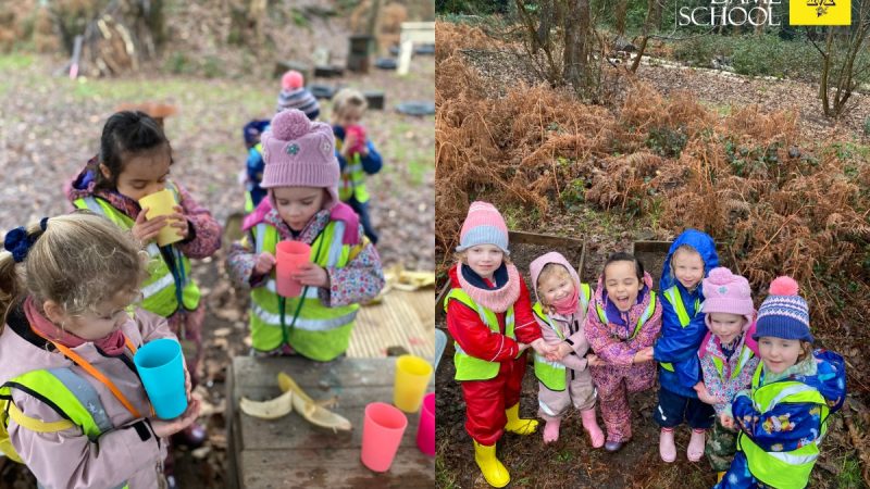 Reception at Forest School Feb 3