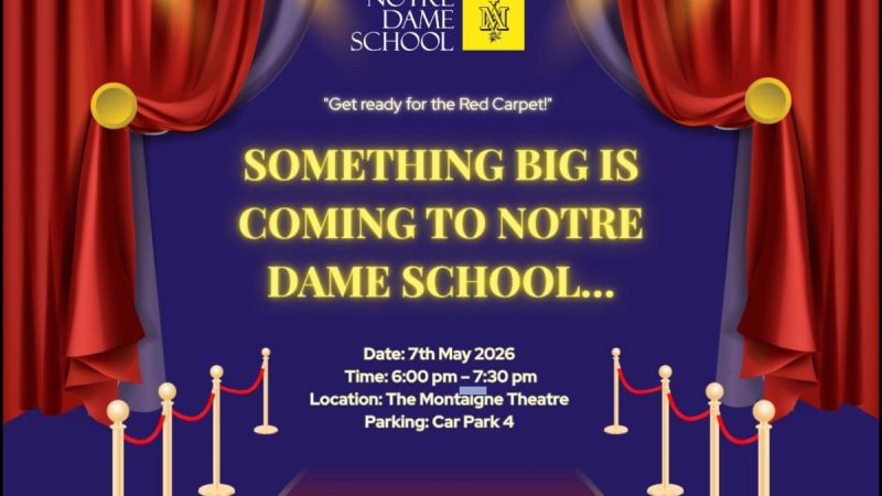 Red Carpet - Premiere PErforming Arts