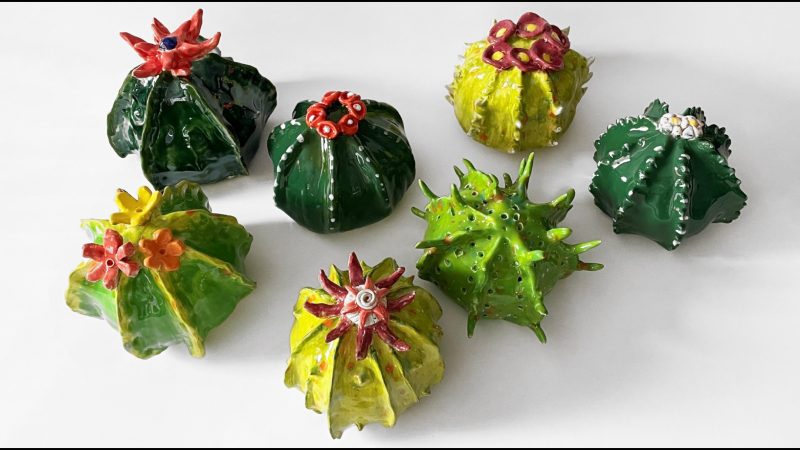Round Cactus - by Y7 Ceramics Club