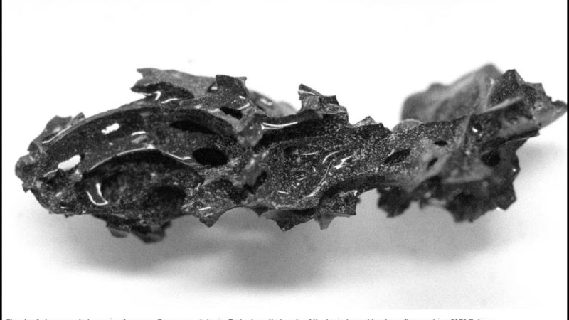 Science Corner - Ancient Brain Into Glass