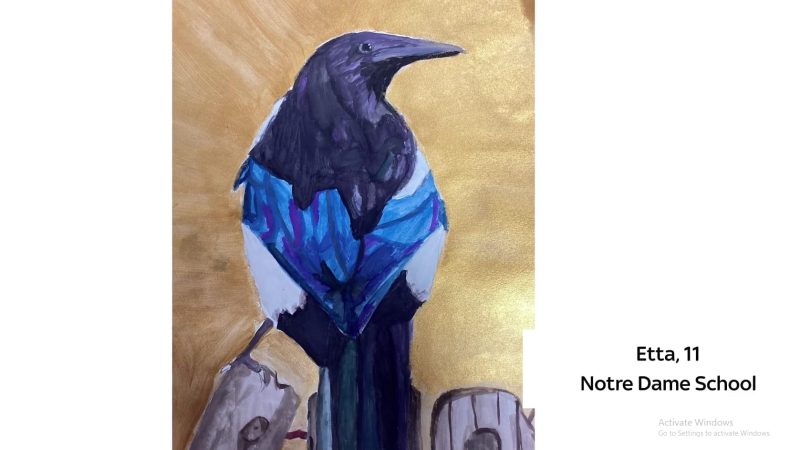 Sky Arts Bird Competition - Etta