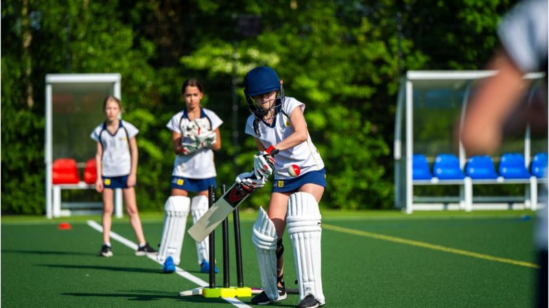 Senior Cricket Generic image