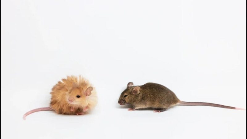 Senior School Science Corner