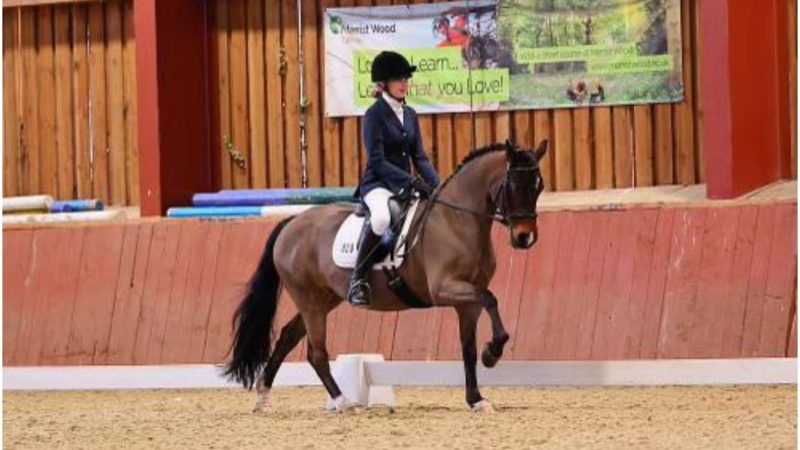 Sophie C - Equestrian Gold Medal