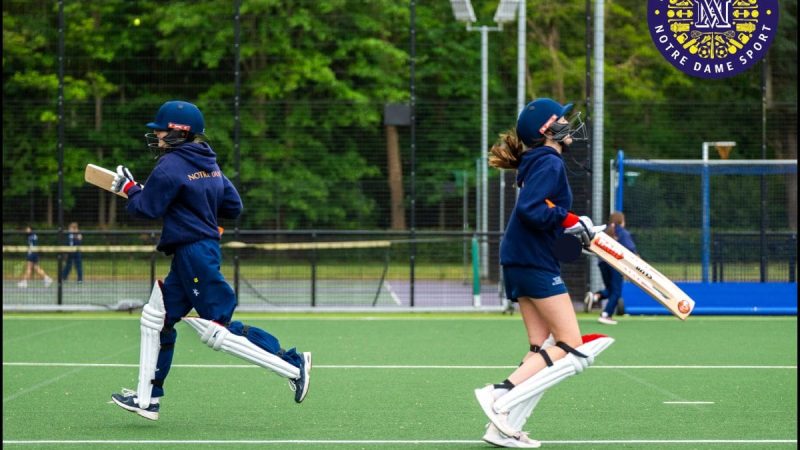 Senior Cricket Fixtures
