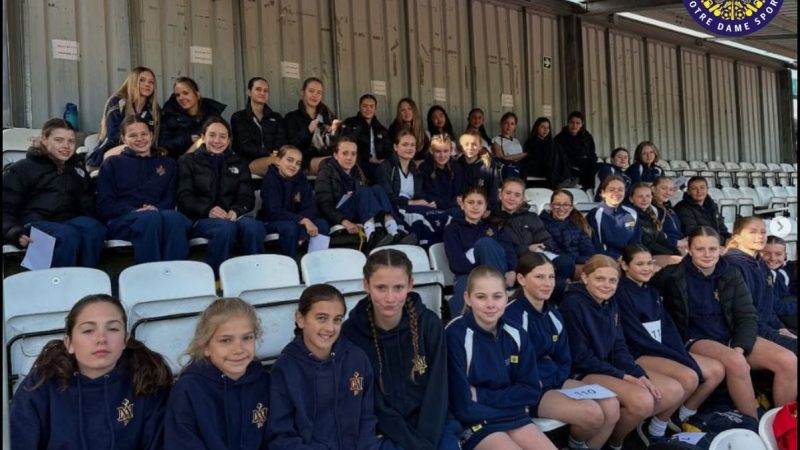 Sports Posts Senior - District Sports Athletics Competition