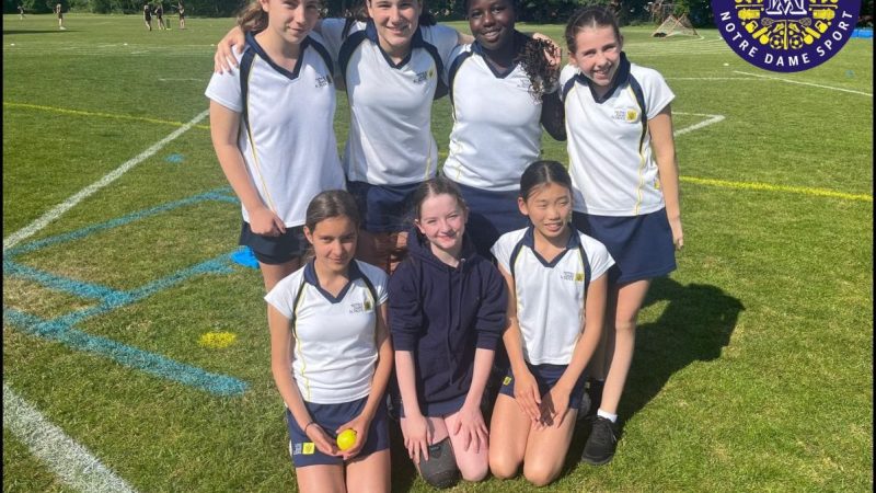 Sports Posts U12 Cricket v St Cats