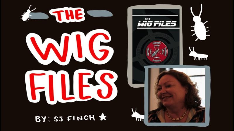 The Wig Files interview