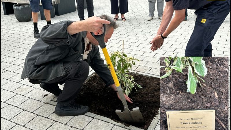 Tina's Memorial Tree