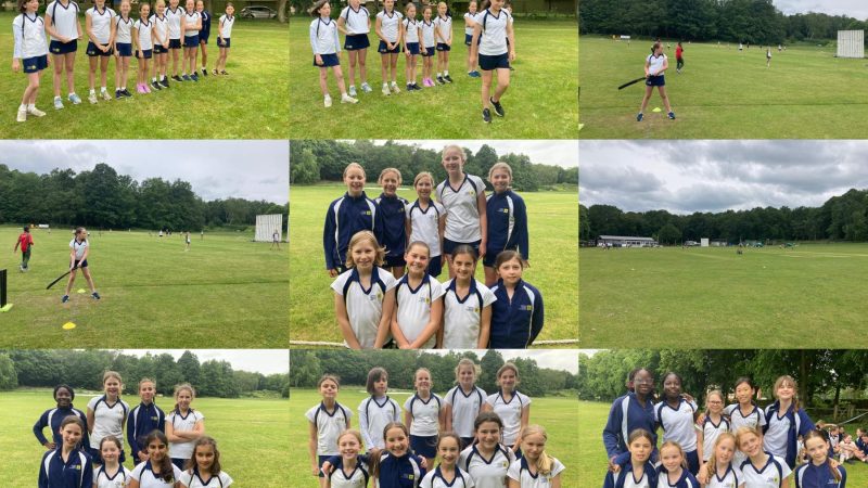 U11 Cricket v Rowan