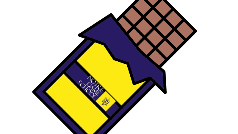 Year 8 Chocolate Bar