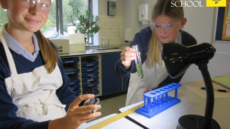Year 10 Scientists Dive into Photosynthesis