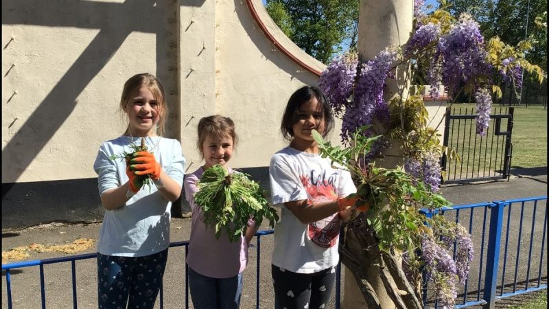Y2 Topic - Roots, Shoots and Juicy Fruits