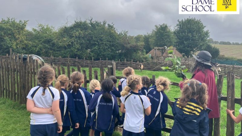 Y3 Trip to Butser Farm 2025