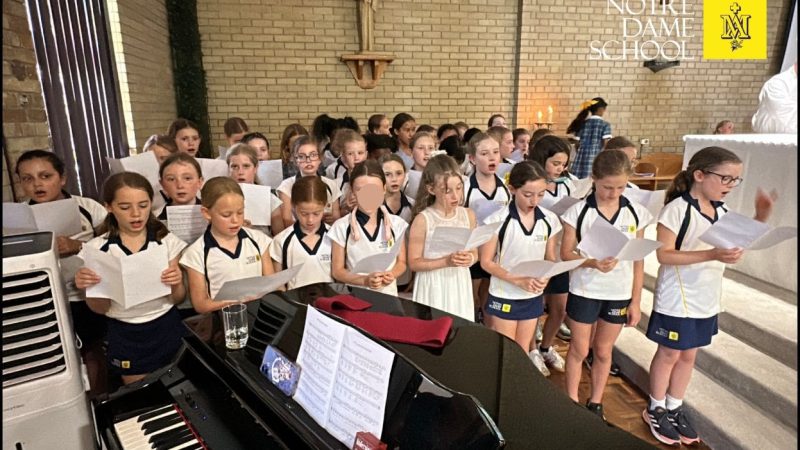 Y5 Cantata 2026