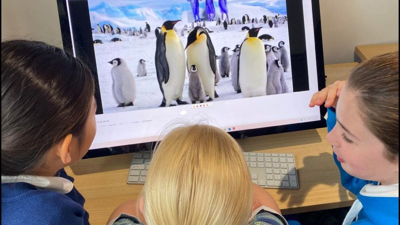 Y5 Innovation Space Movie Project