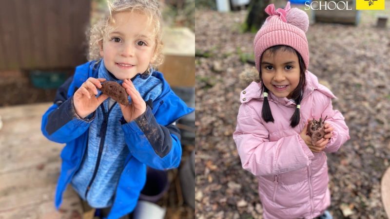 YEar 1 Outdoor LEarning - HEdgehogs