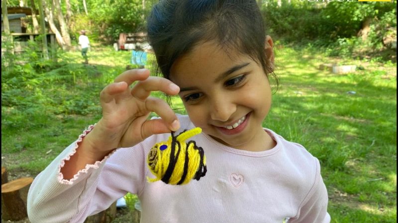 YEar 1 Outdoor Learning - Bees