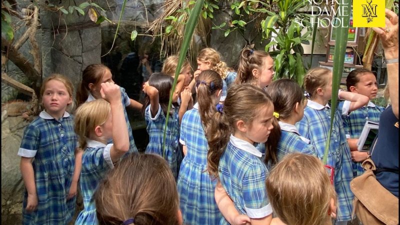 YEar 3 Rainforest Trip