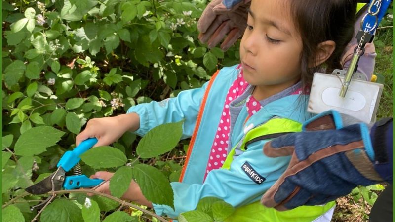 Year 1 Forest School June 21