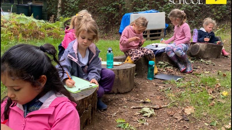 Year 1 Outdoor Learning