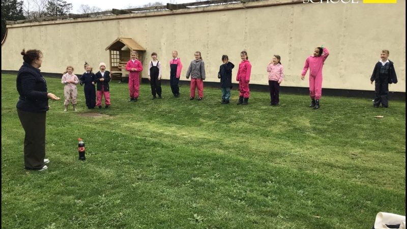 Year 2 Science Experiments