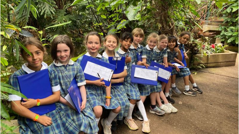 Year 3 Trip to The Rainforest