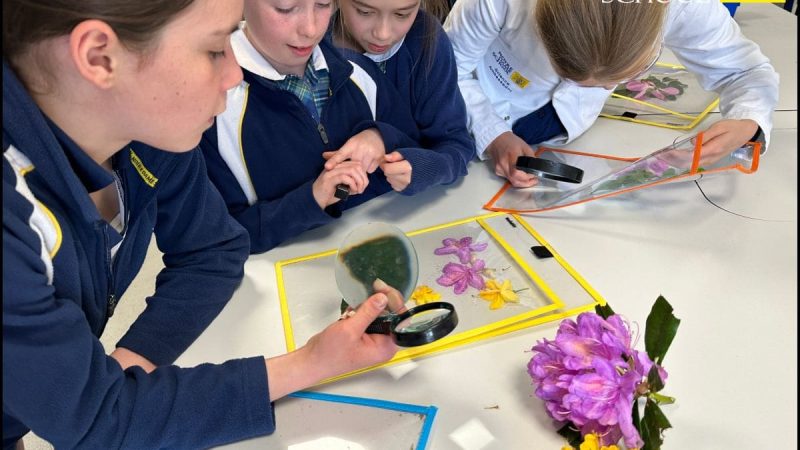 Year 3 and 4 STEM Club (6)