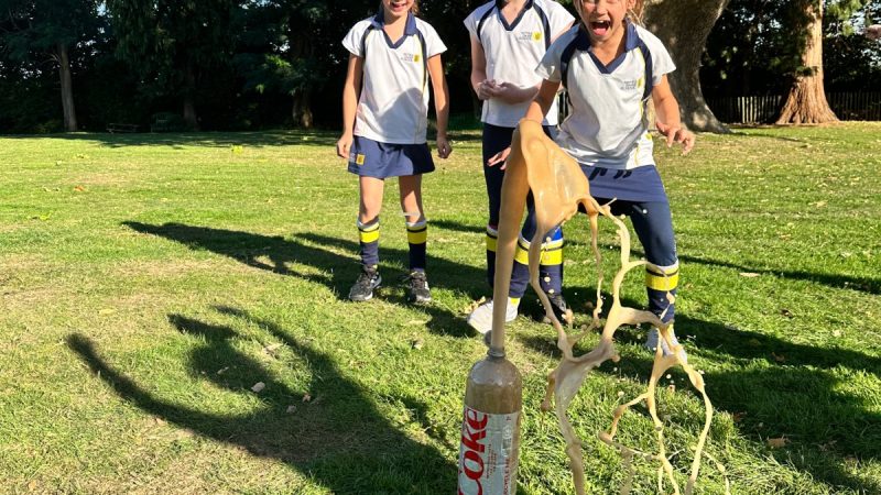 Year 4 STEM