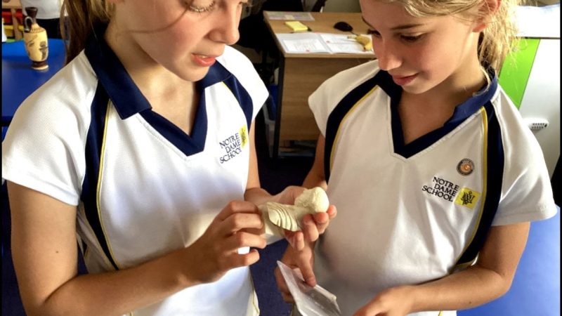 Year 5 Groovy Greeks